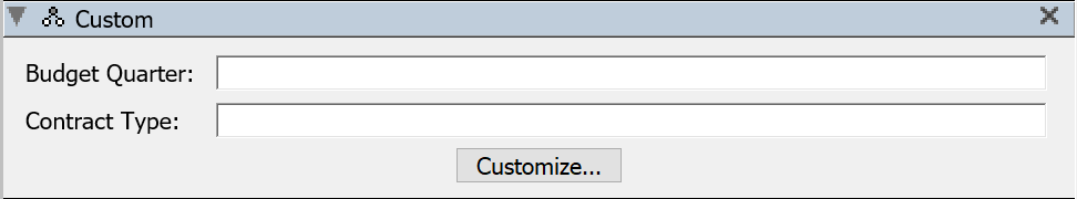 Purchase Details Custom Pane